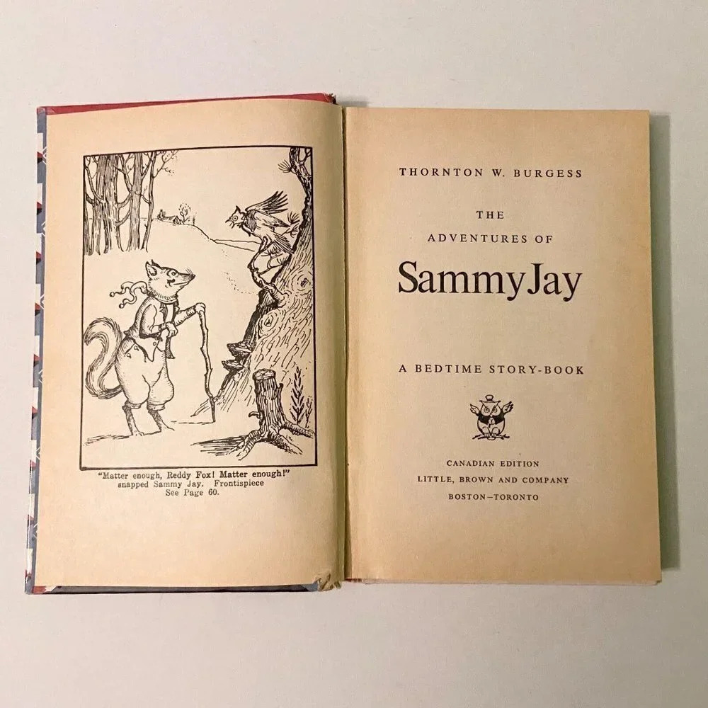 Vintage 1964 The Adventures of  Sammy Jay Thornton W Burgess - Picture 11 of 16